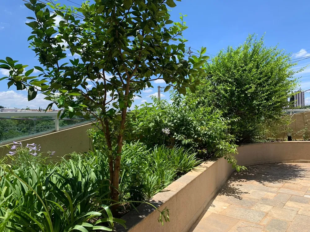 Apartamento, 3 quartos, 137 m² - Foto 10