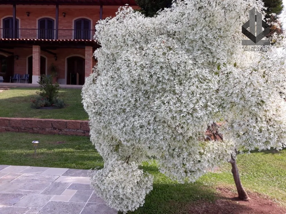 Casa, 5 quartos - Foto 6