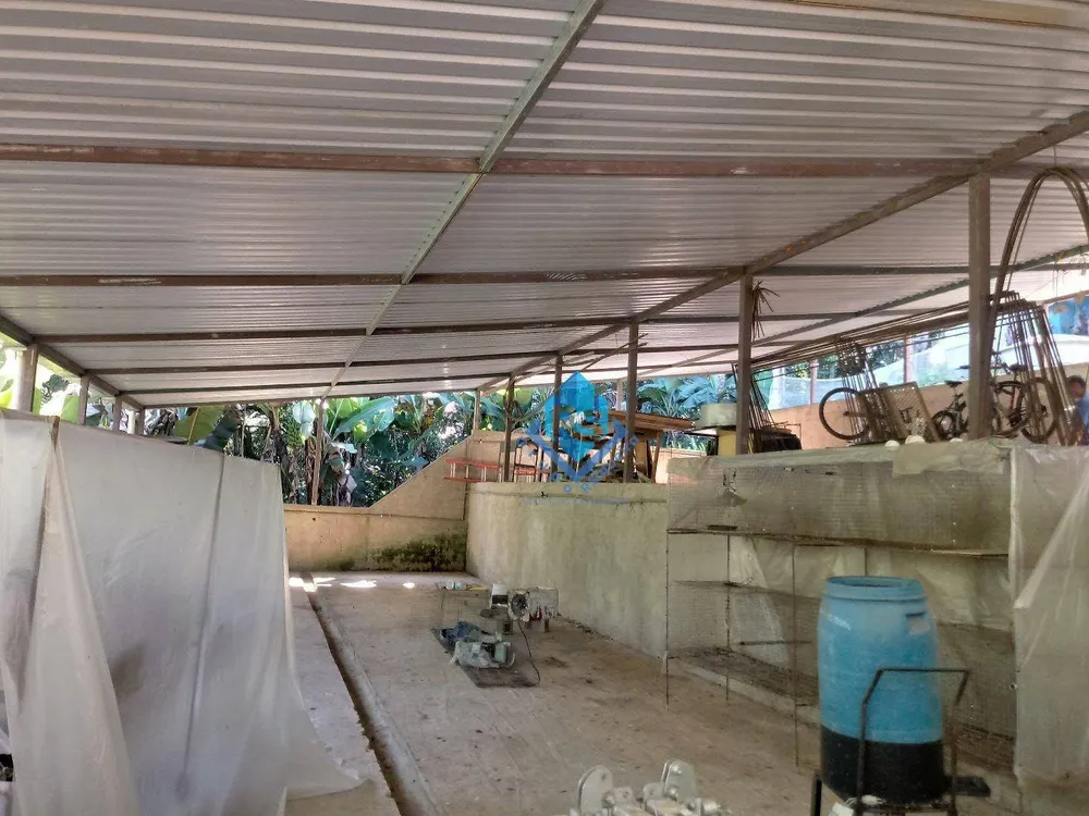 Chácara, 2 quartos, 9600 m² - Foto 10