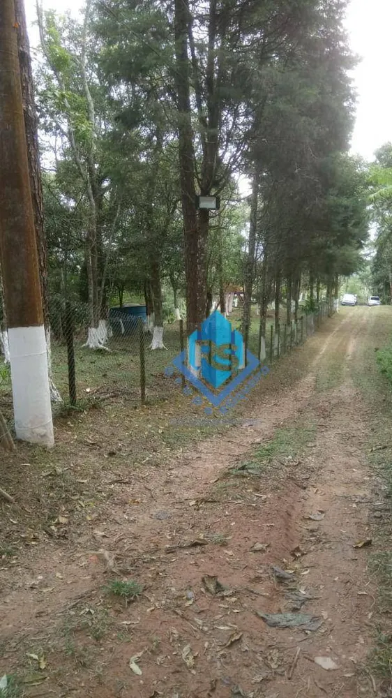 Chácara, 2 quartos, 9600 m² - Foto 16