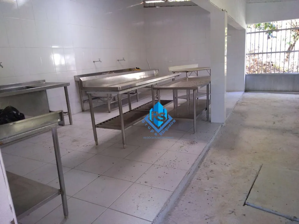 Chácara, 3 quartos, 10000 m² - Foto 4