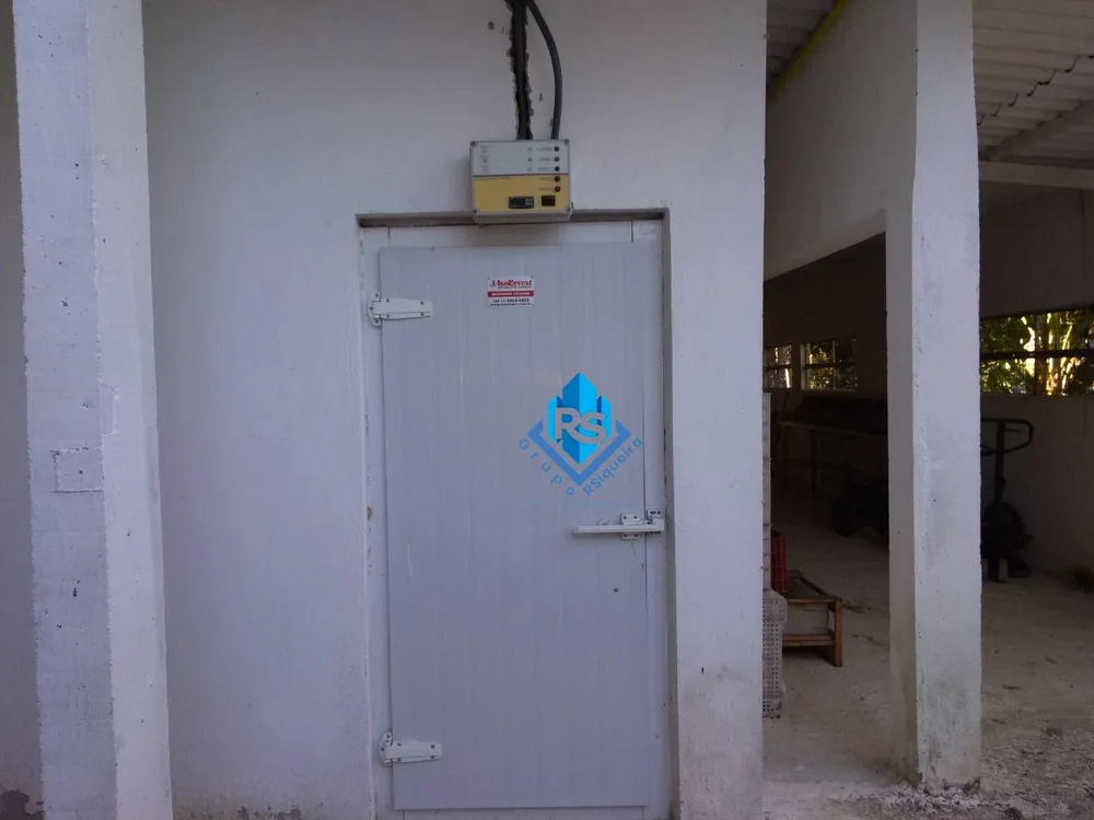 Chácara, 3 quartos, 10000 m² - Foto 3