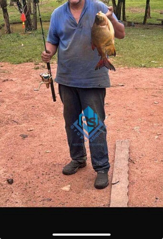 Sítio, 3 quartos, 3 hectares - Foto 9