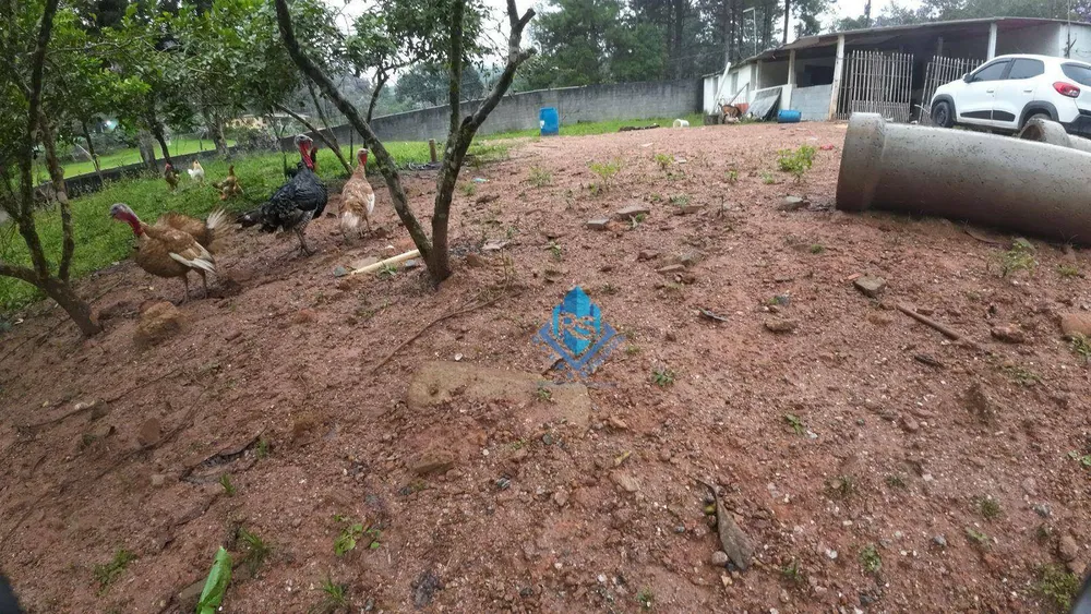 Sítio, 3 quartos, 3 hectares - Foto 15