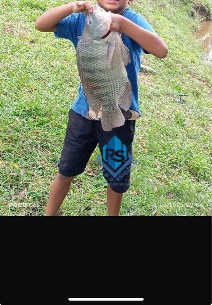 Sítio, 3 quartos, 3 hectares - Foto 8