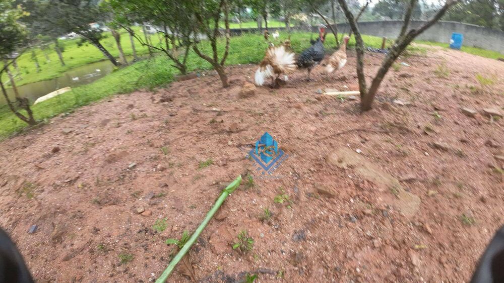 Sítio, 3 quartos, 3 hectares - Foto 7