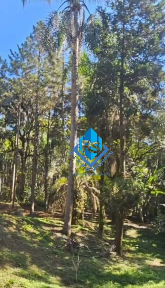 Chácara, 3 quartos, 5 hectares - Foto 12