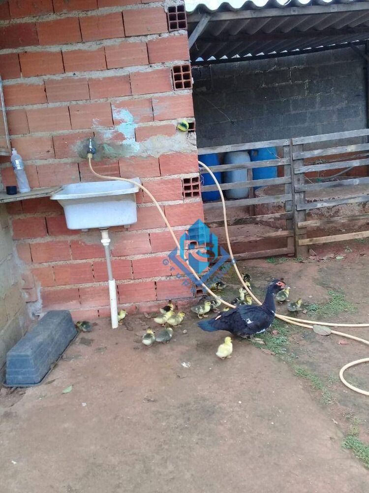 Chácara à venda com 3 quartos, 1000M2 - Foto 10