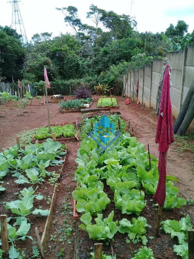 Chácara à venda com 3 quartos, 1000M2 - Foto 1