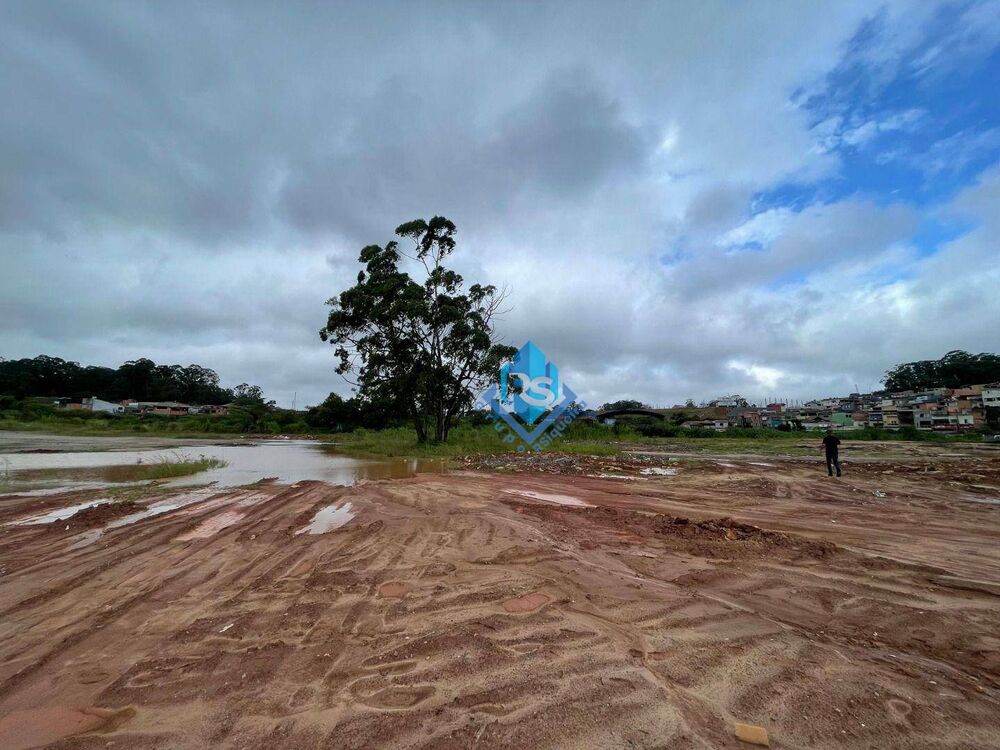 Terreno, 5 hectares - Foto 7