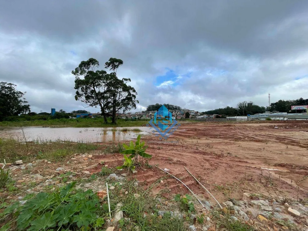 Terreno, 5 hectares - Foto 23