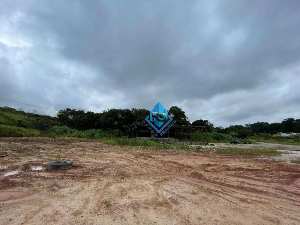 Terreno, 5 hectares - Foto 4