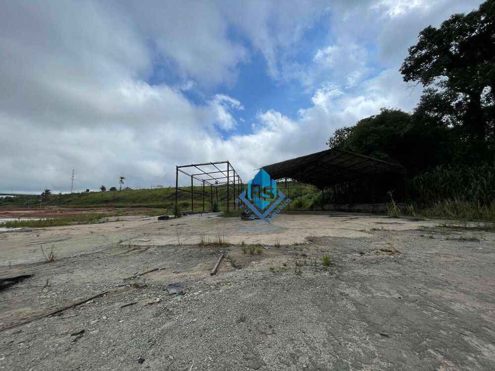 Terreno, 5 hectares - Foto 4