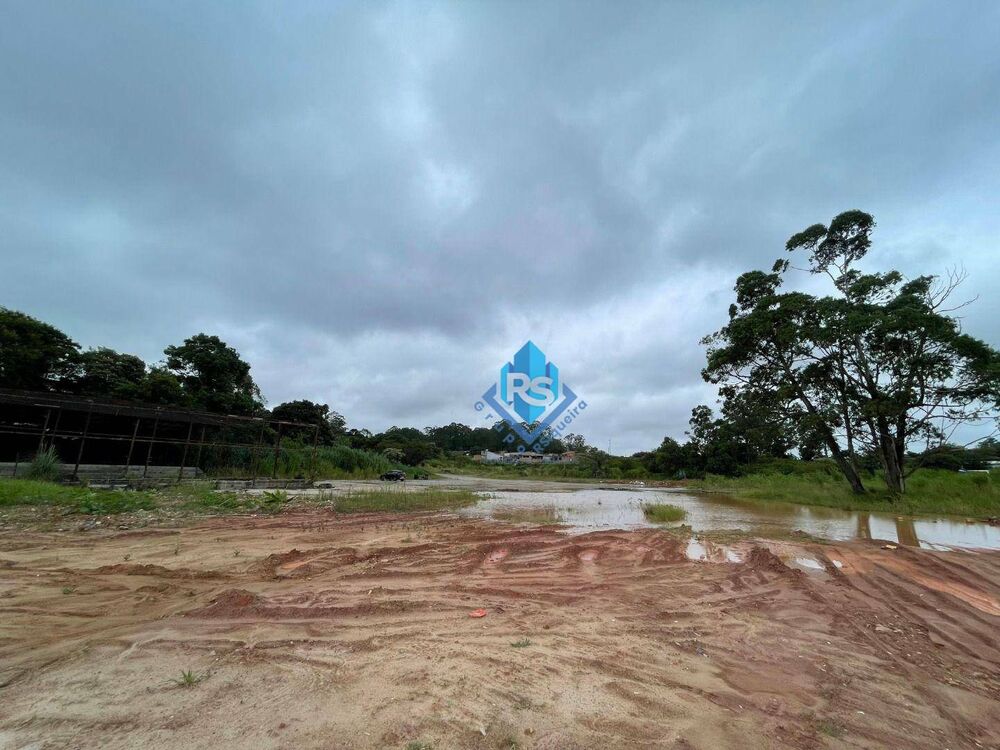 Terreno, 5 hectares - Foto 6