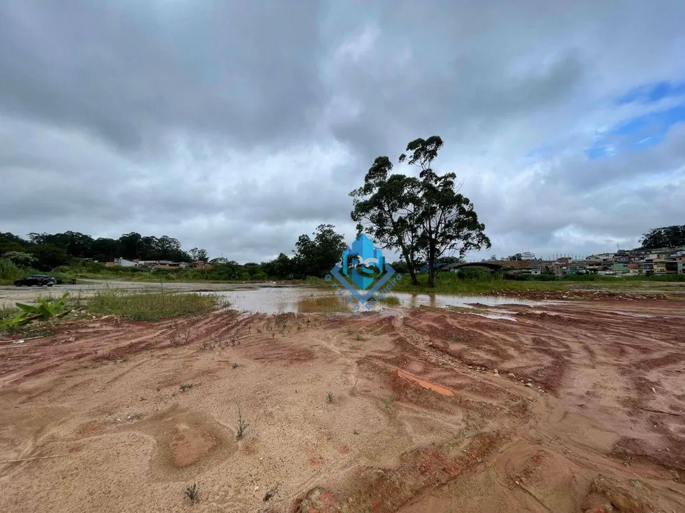 Terreno, 5 hectares - Foto 6