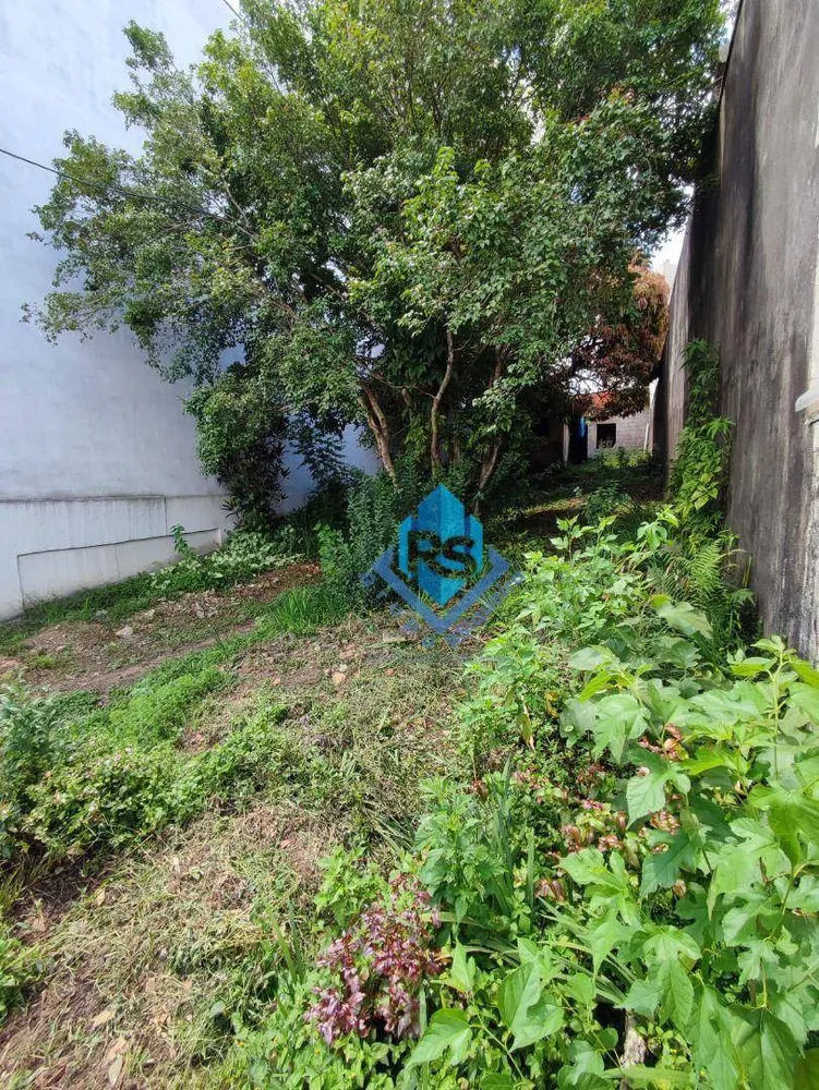 Terreno, 259 m² - Foto 6