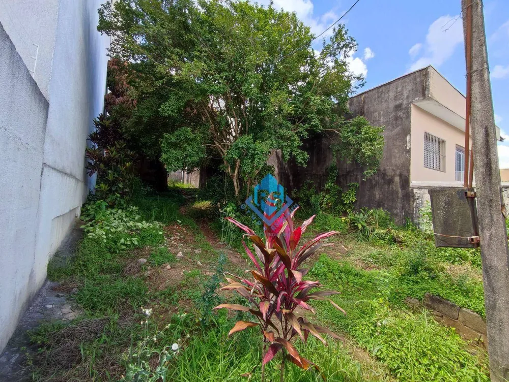 Terreno, 259 m² - Foto 3