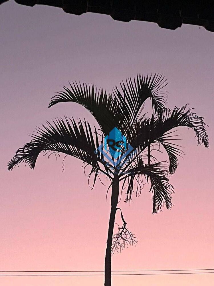 Chácara, 4 quartos, 2000 m² - Foto 16