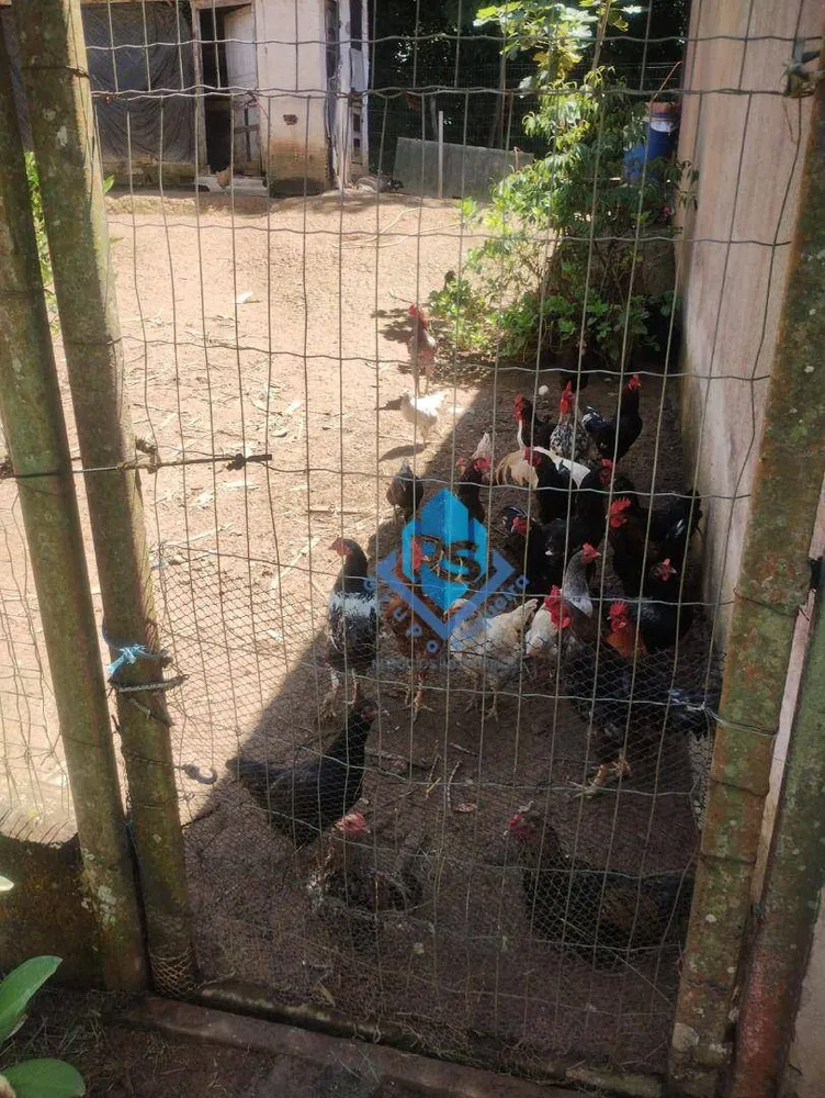 Chácara, 4 quartos, 3 hectares - Foto 12