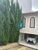Casa, 3 quartos, 225 m² - Foto 8