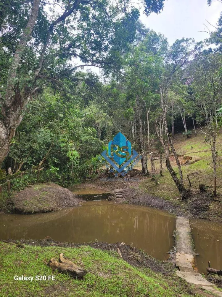 Chácara à venda com 2 quartos, 4000M2 - Foto 8