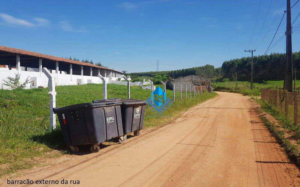 Sítio, 7 quartos, 2 hectares - Foto 12