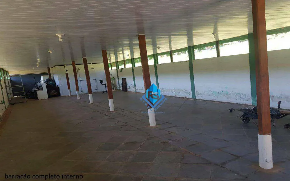 Sítio, 7 quartos, 2 hectares - Foto 14