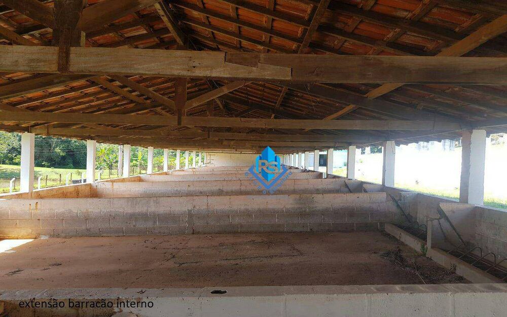 Sítio, 7 quartos, 2 hectares - Foto 34