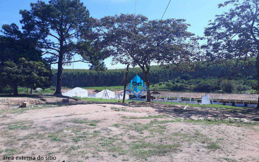 Sítio, 7 quartos, 2 hectares - Foto 10