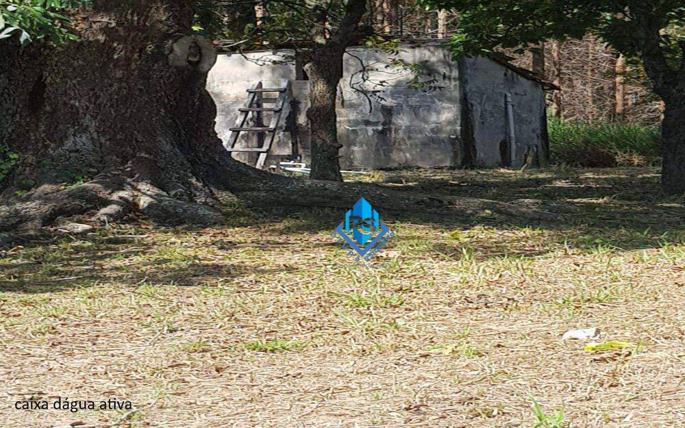 Sítio, 7 quartos, 2 hectares - Foto 23