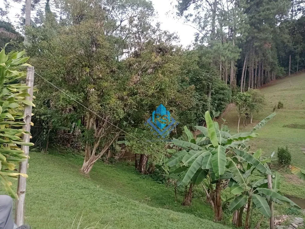 Chácara, 2 quartos, 4000 m² - Foto 2