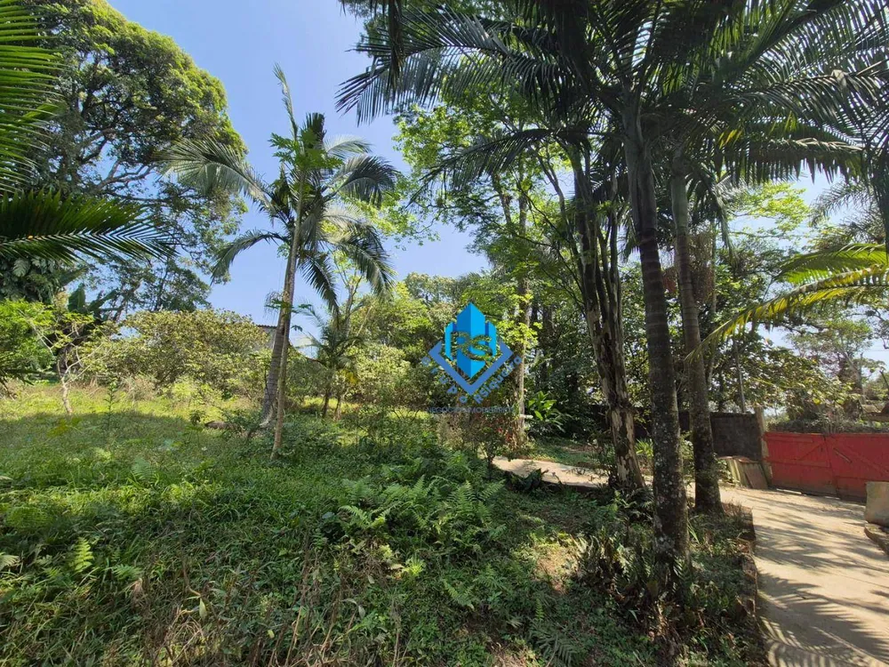 Chácara, 2 quartos, 5035 m² - Foto 1