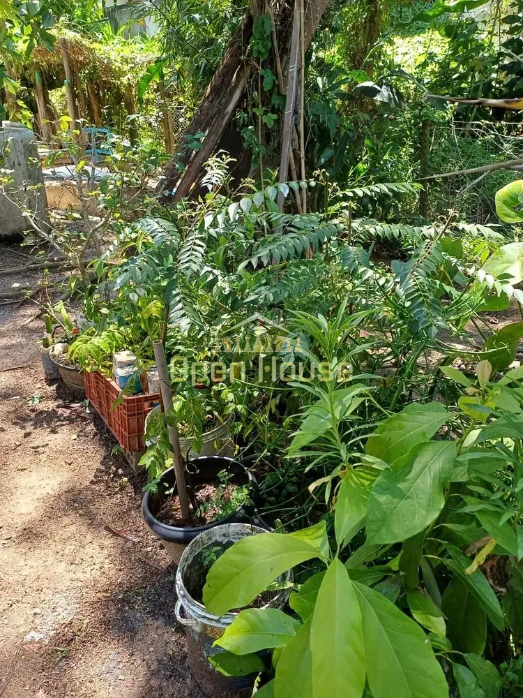 Casa, 3 quartos, 164 m² - Foto 12