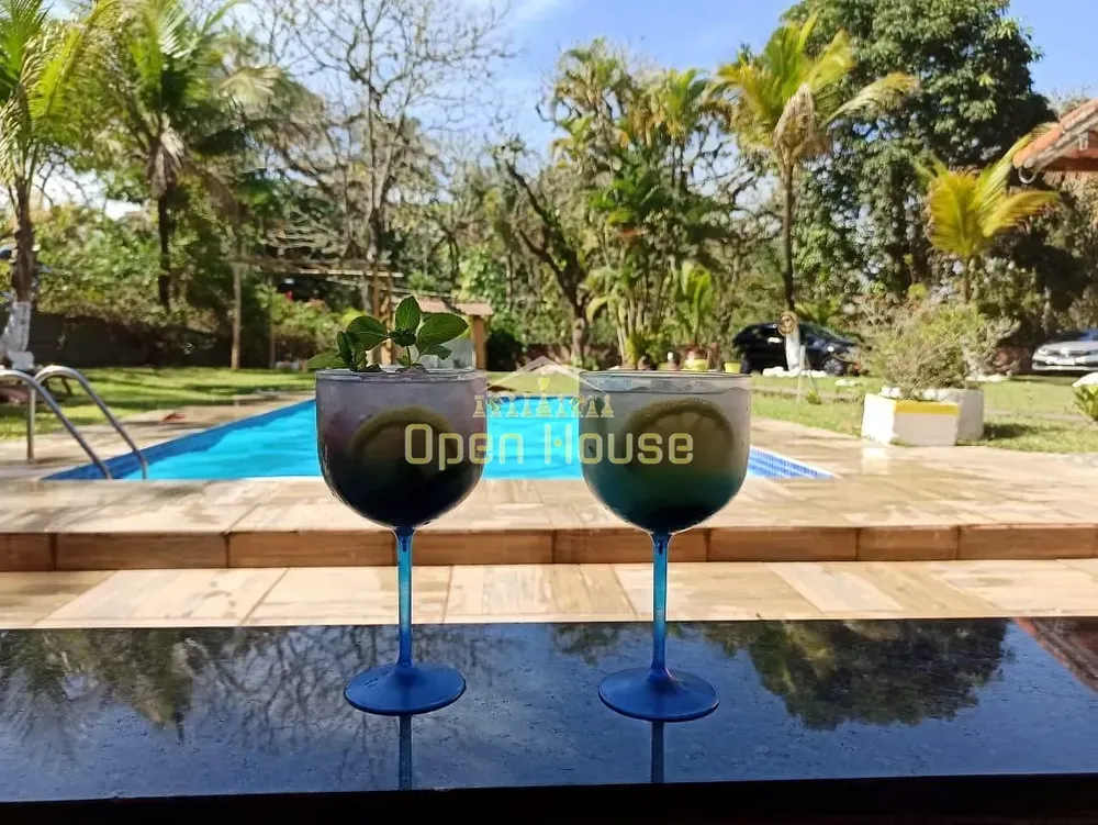 Chácara, 4 quartos, 6000 m² - Foto 11