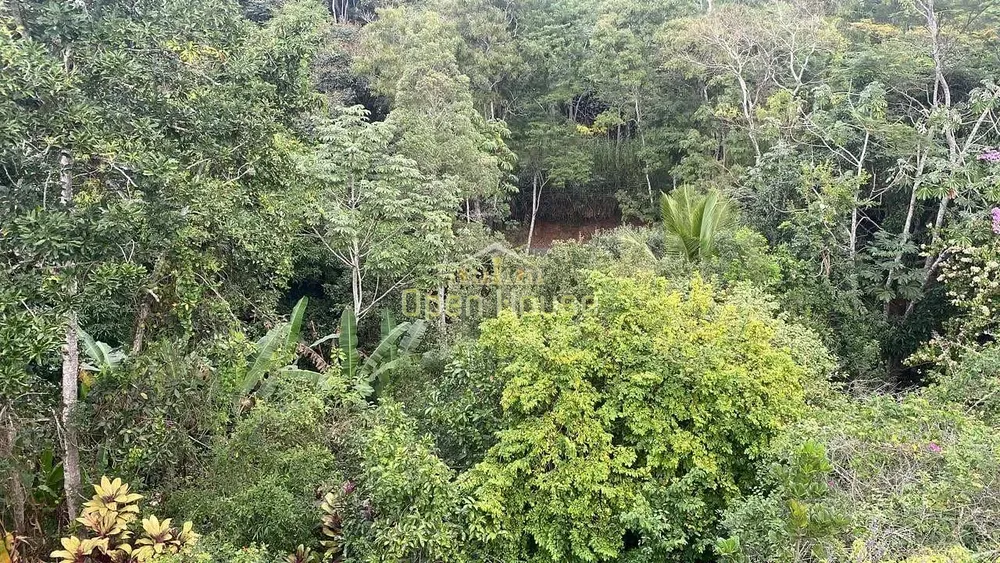 Chácara, 4 quartos, 6000 m² - Foto 5