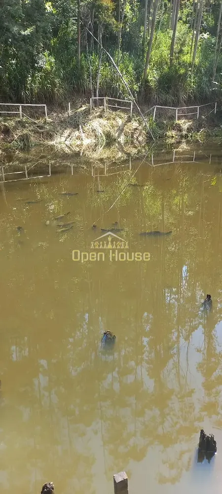 Sítio, 3 quartos, 2 hectares - Foto 30