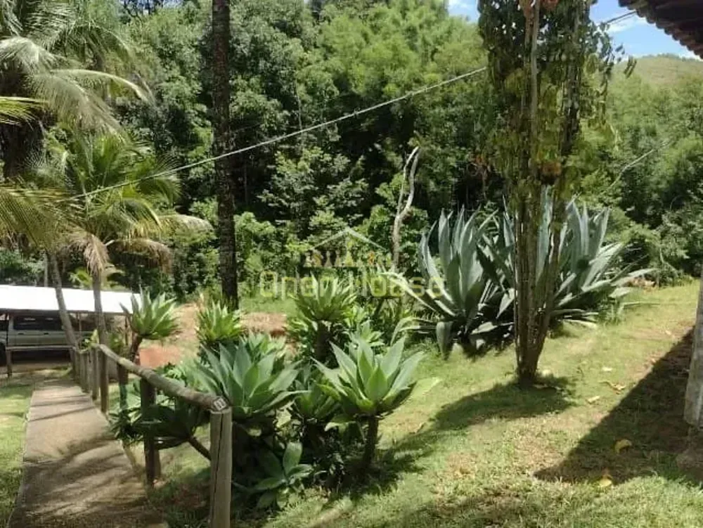 Sítio, 4 quartos, 10 hectares - Foto 12