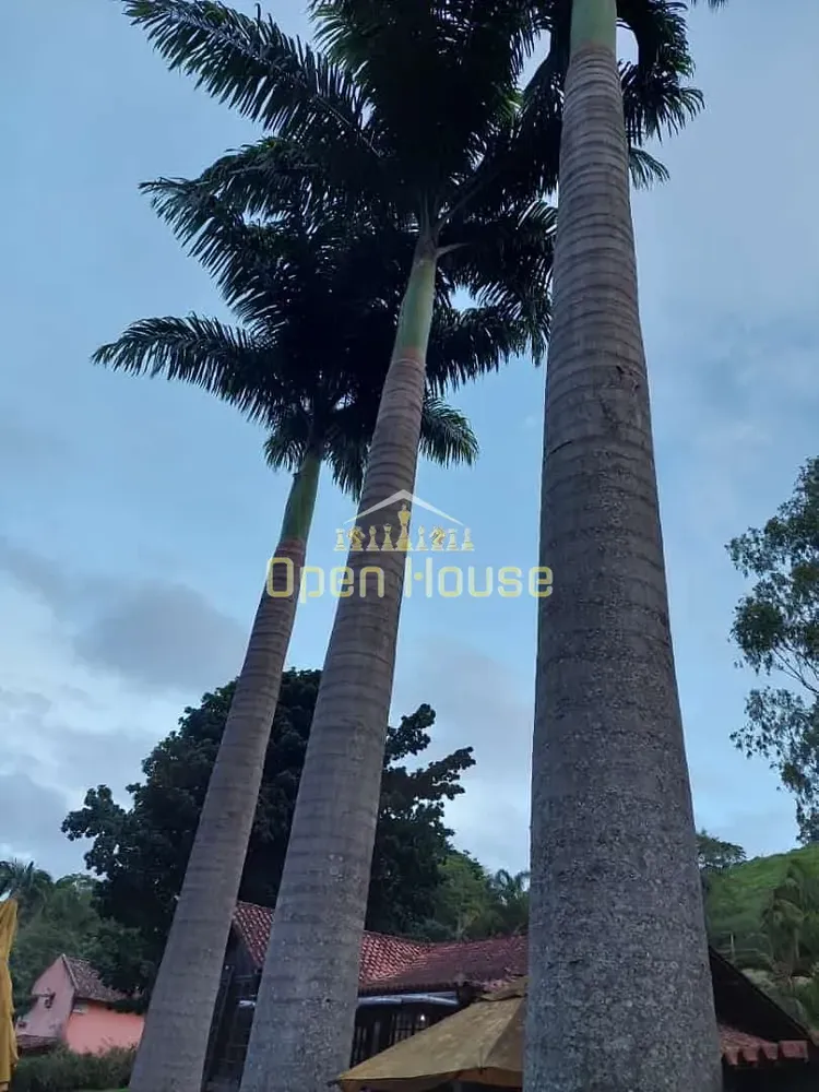 Chácara, 7 quartos, 3 hectares - Foto 35