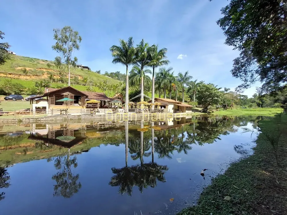 Chácara, 7 quartos, 3 hectares - Foto 17
