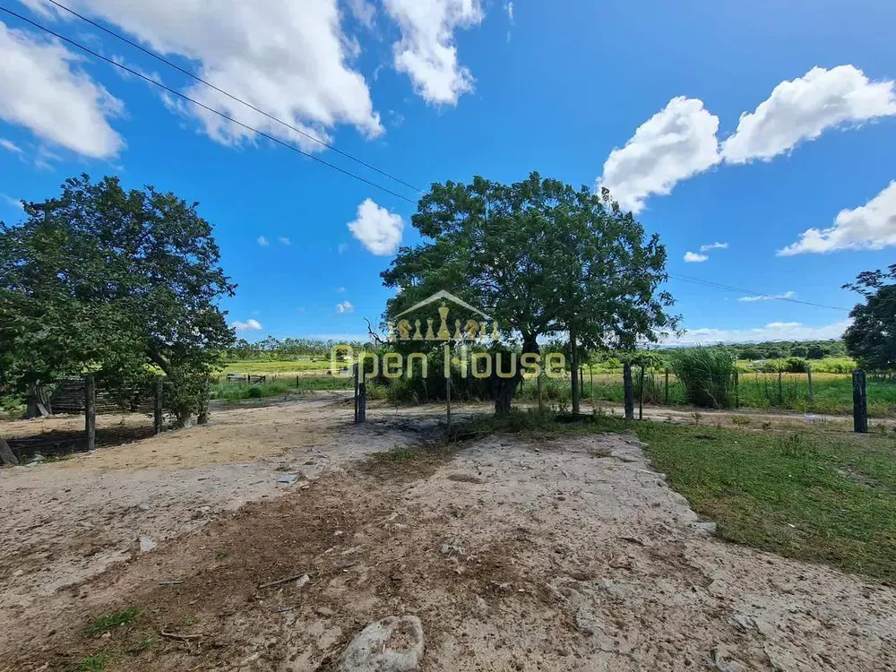Fazenda, 126 hectares - Foto 53