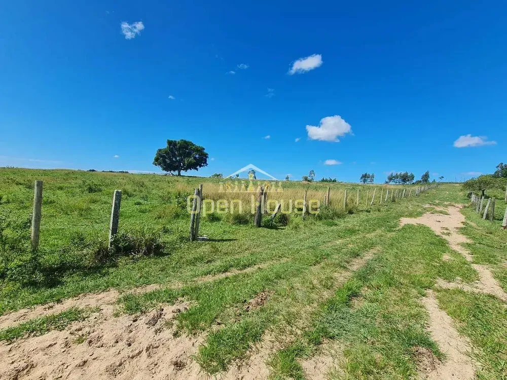 Fazenda, 126 hectares - Foto 48