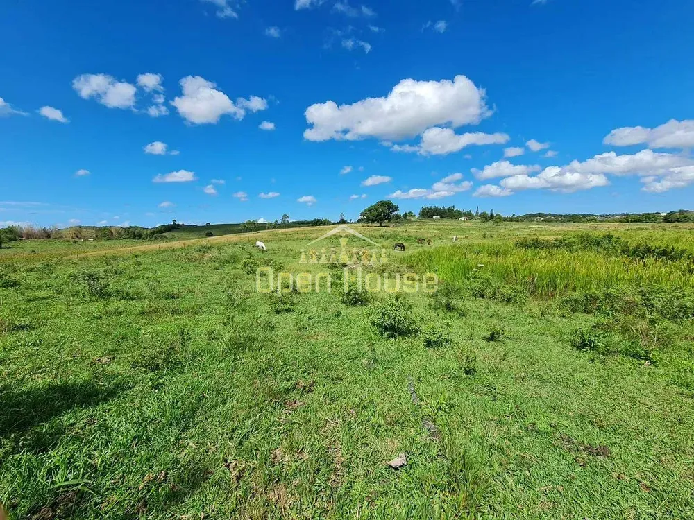 Fazenda, 126 hectares - Foto 60