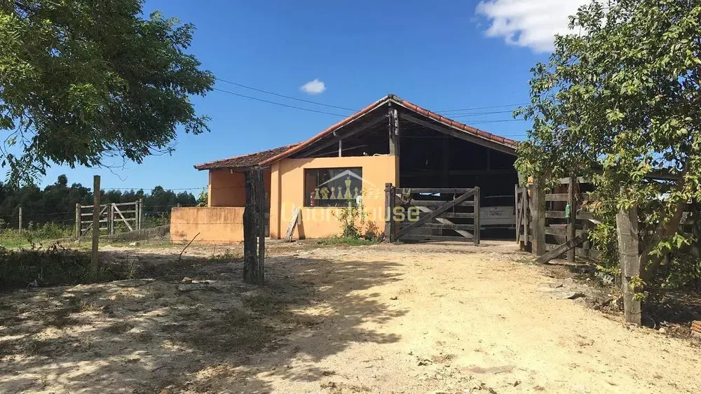 Fazenda, 126 hectares - Foto 5