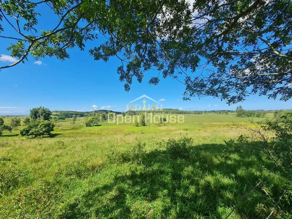 Fazenda, 126 hectares - Foto 44