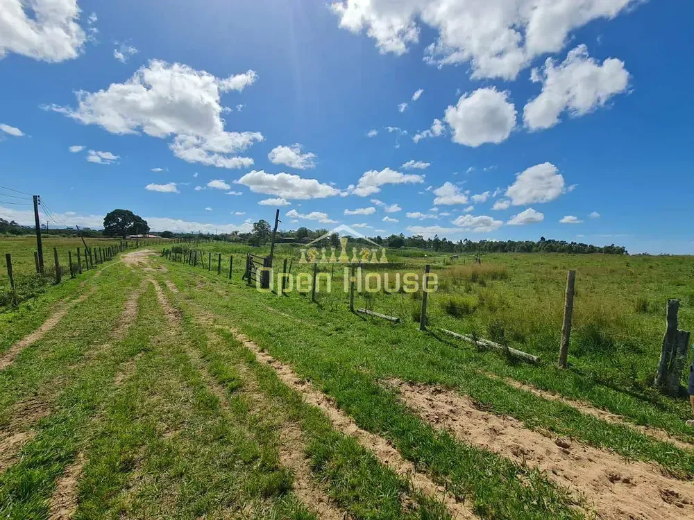 Fazenda, 126 hectares - Foto 4