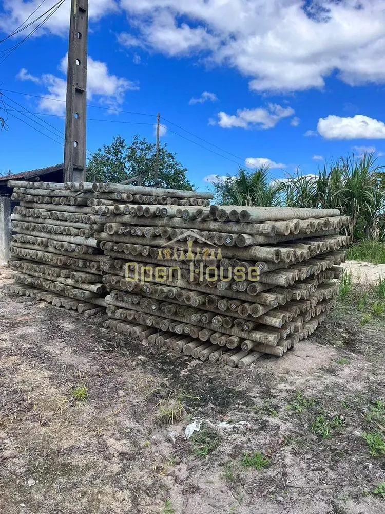 Fazenda, 126 hectares - Foto 6