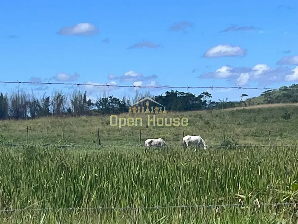 Fazenda, 126 hectares - Foto 31