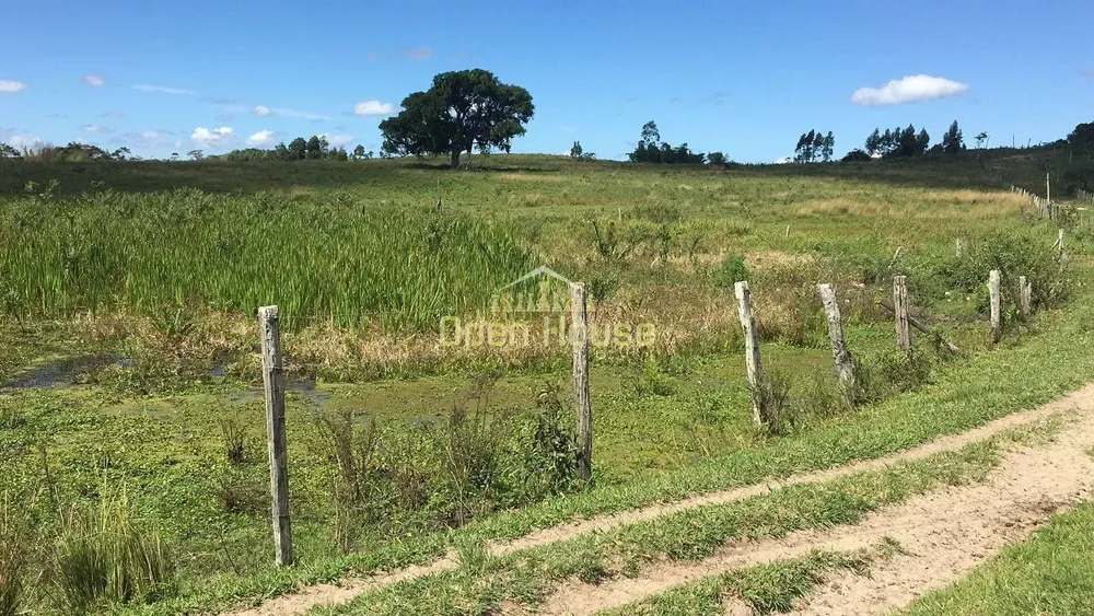 Fazenda, 126 hectares - Foto 12