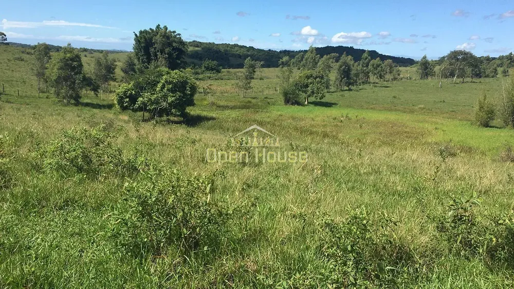 Fazenda, 126 hectares - Foto 11
