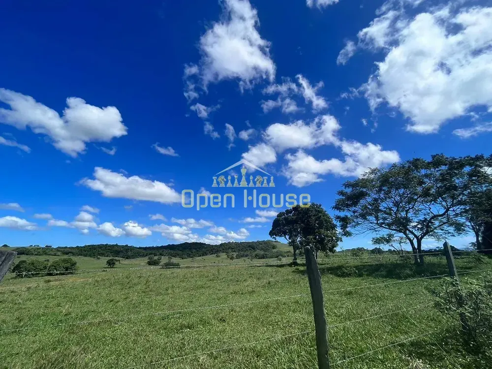 Fazenda, 126 hectares - Foto 19